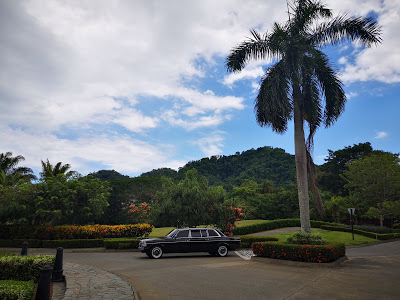 LARGE-PALM-TREE-AND-MERCEDES-LIMOUSINE-COSTA-RICA1a2fdcd0c2273ddd.jpg