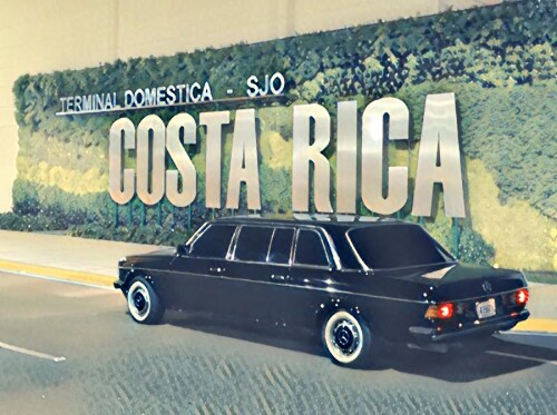 VINTAGE-MERCEDES-LIMOUSINE-FOR-CLIENTSa2a1571daed97013.jpeg